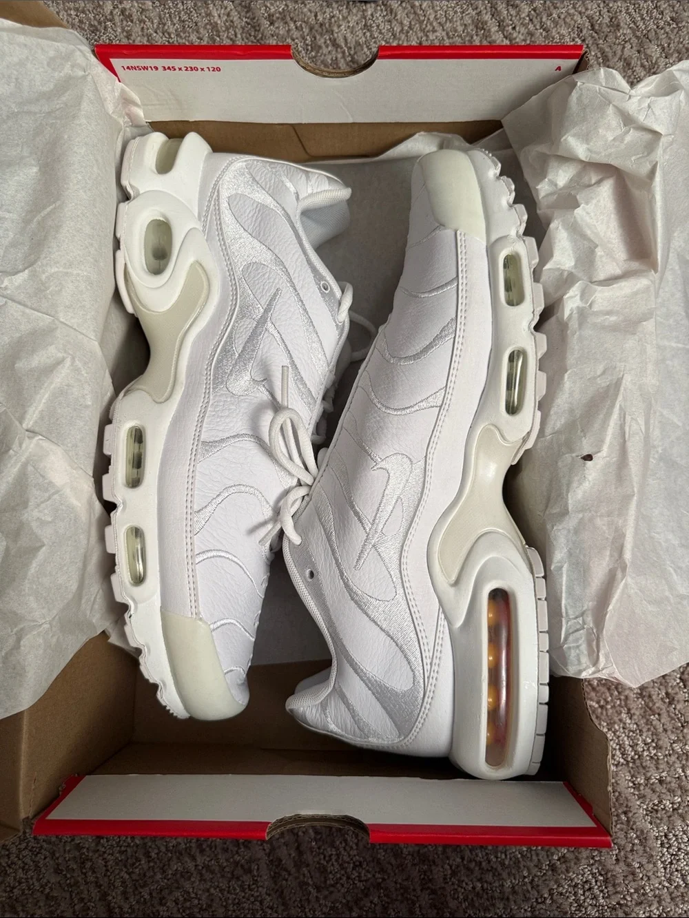 Nike Max Plus